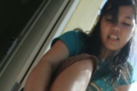 Tomcat Sudah Serang Banjarmasin