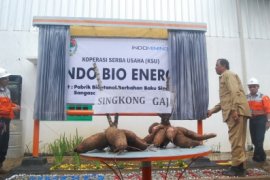 Pabrik Bioetanol Berbahan Baku Singkong