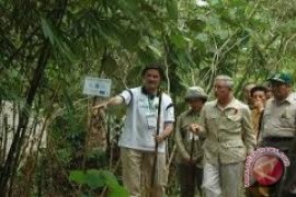 Hutan "Pangeran Charles" digerus pembalakan liar