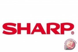 Penjualan Sharp Kalbar Terpengaruh Harga Komoditas Perkebunan