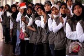 Kemnakertrans diminta syaratkan upah minimum TKI Saudi