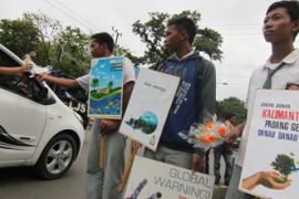 BUNGA HARI BUMI