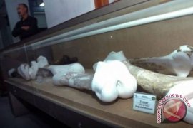 Fosil Dinosaurus Ditemukan di AS