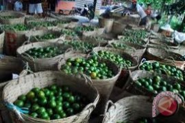 Konsumsi Jeruk Lebih Sehat  Dibanding Jus Jeruk