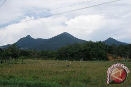 BPMD Kalbar Trauma Investor Tanpa Realisasi