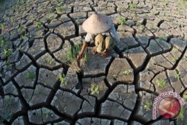 BPBD DIY inventarisasi kekeringan jelang puncak kemarau 