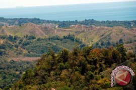 Luas Hutan Sulteng Susut 1,1 Juta Ha
