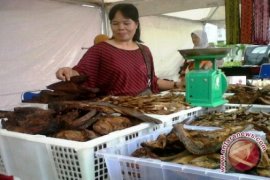 Dosen ITS ciptakan alat asap ikan ergonomic