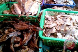 Produksi ikan asin Bengkulu turun
