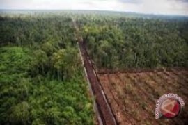 Ini salah satu akar masalah konflik agraria antara perusahaan dan warga