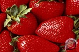 Perlu Dicoba, Stroberi Disulap Jadi Pizza  