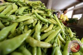 Harga cabai rawit di Yogyakarta naik tipis
