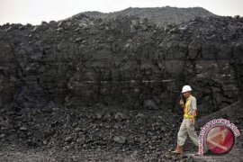 Keuntungan batubara tidak sebanding dampak kerusakan alam