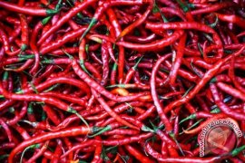 Mentan fokus peningkatan produktivitas tanaman Hortikultura 2018