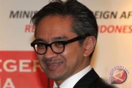 Marty: seluruh pihak menahan diri terkait Gaza