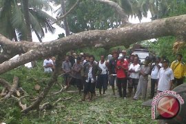 Pelaku Perusakan di Balaesang Tanjung Diminta Menyerahkan Diri