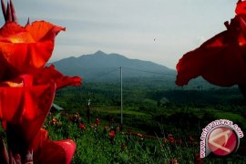 Pedagang Bunga Dapat Berkah Ramadhan