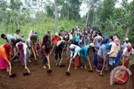 Anggota DPRD Sulbar Minta Masyarakat Maksimalkan Berkebun