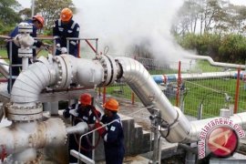 Pertamina Geothermal Akan Percepat Proyek MP3EI