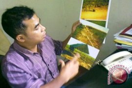 Aktivitas petani Ogan Ilir kembali normal 