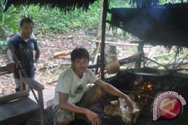 Harga Gula Aren Naik Di Banjarmasin