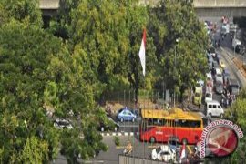 Banjarmasin Tawarkan Bisnis Di  RTH