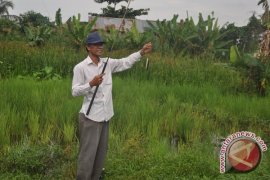 Memancing, Cara Pemuda Banjarmasin Bunuh Waktu Puasa 