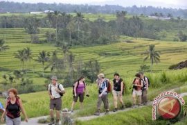 Bali Perlu Bentuk Subak Abadi Dukung WBD