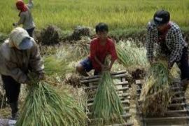 Anak Buruh Tani Terima Beasiswa 