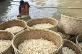 Pengrajin Tahu Tempe Desak Pemerintah Subsidi Kedelai