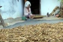 Bulog Atur Harga Kedelai