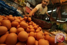 Kalbar Belum Perlu OP Telur Jelang Imlek 