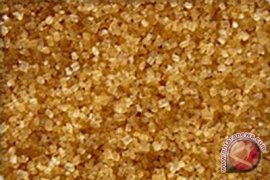Kemendag-PTPN akan kerja sama oleh "raw sugar" 