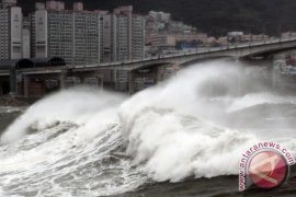 Badai topan tewaskan lima orang, banjiri lahan pertanian di Korut