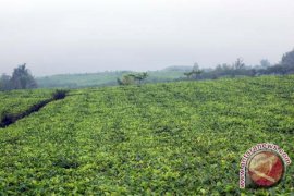 Wagub: Wisatawan terfokus kunjungi destinasi unggulan