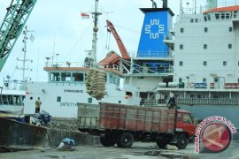 Kuartal pertama harga semen di Bengkulu stabil