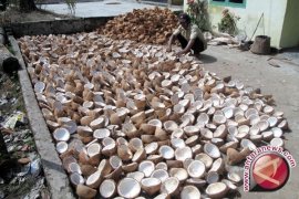 Minyak Kelapa Manjur Untuk Melawan Kerusakan Gigi