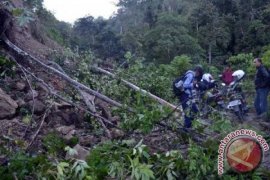 Gempa Tektonik di Sigi 