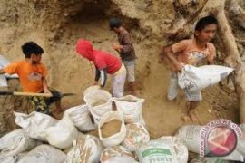 Nasib Pendulang Emas Tradisional Solok Selatan di "Ujung Tanduk"