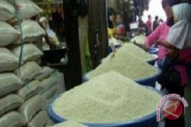 Beras analog terus dikampanyekan