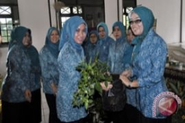 ADVERTORIAL - PKK Tanbu Dorong Penciptaan Rumah Pangan Lestari