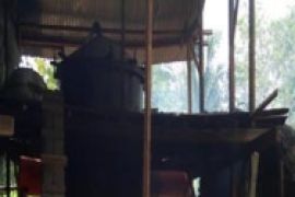 Petani Nilam Bombana Butuh Alat Penyuling
