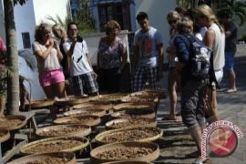 Festival Kopi Digelar di Ubud