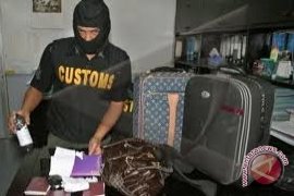 BC Soekarno-Hatta Gagalkan Penyelundupan Kokain Jaringan Kolombia 