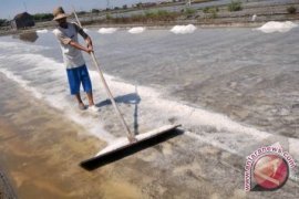 Petani garam kesulitan menjual produksinya