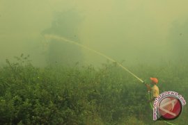 NOAA deteksi 220 titik kebakaran lahan