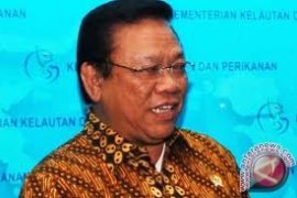 Menko Kesra Harapkan Sail Komodo Sejahterakan Rakyat