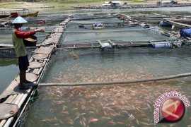 Produksi perikanan Bantul 2018 tak sesuai target