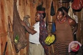 Noken Asal Papua Terancam Punah     