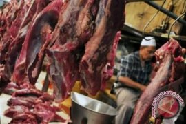 DIY berharap dapat pasokan daging sapi impor